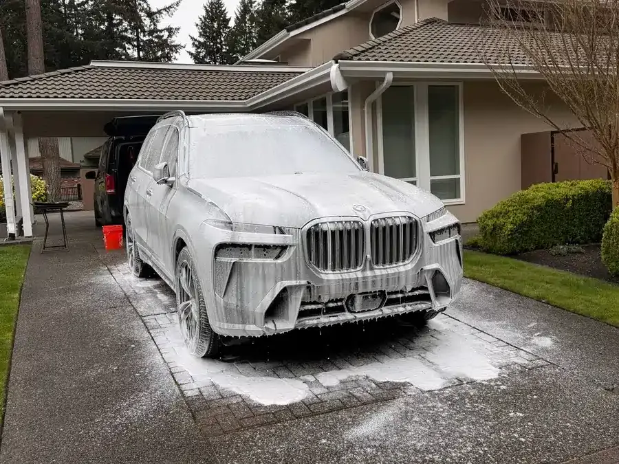 BMW before detailing