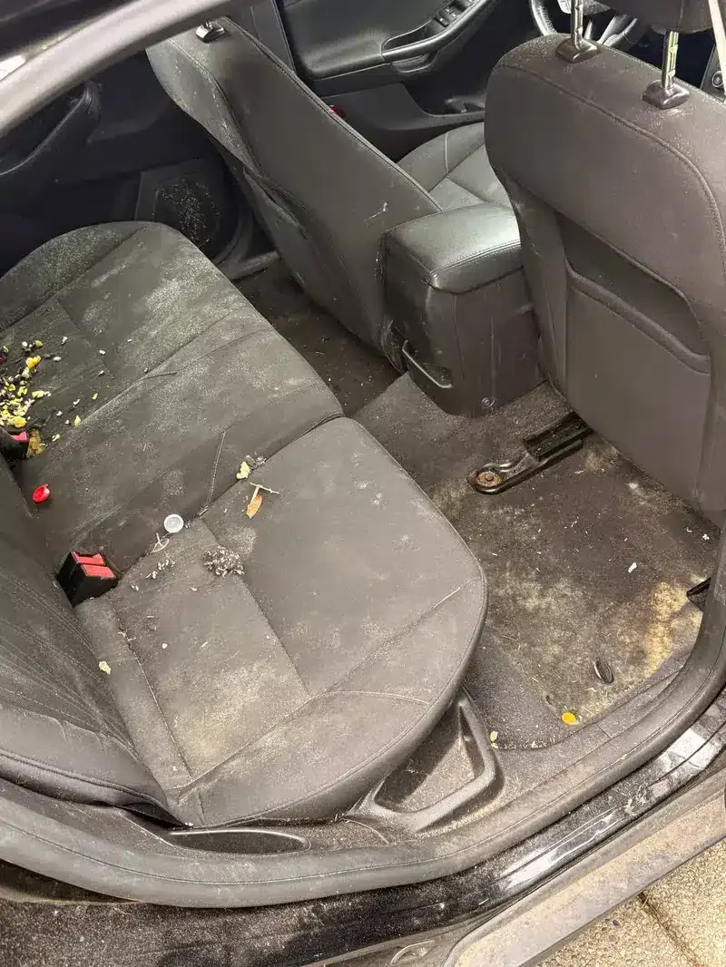 Heavily contaminated vehicle interior before cleaning