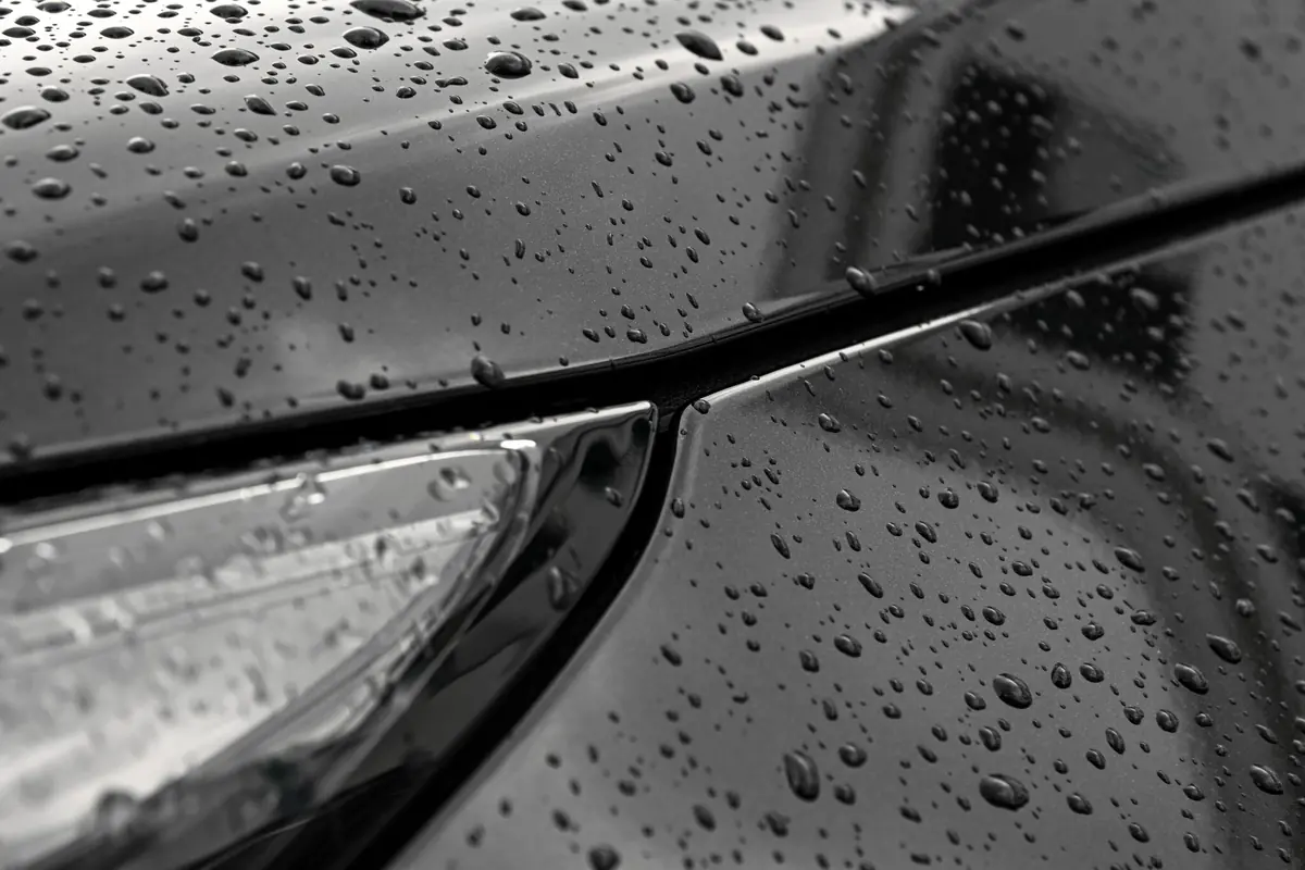 Water beading on protected automotive paint