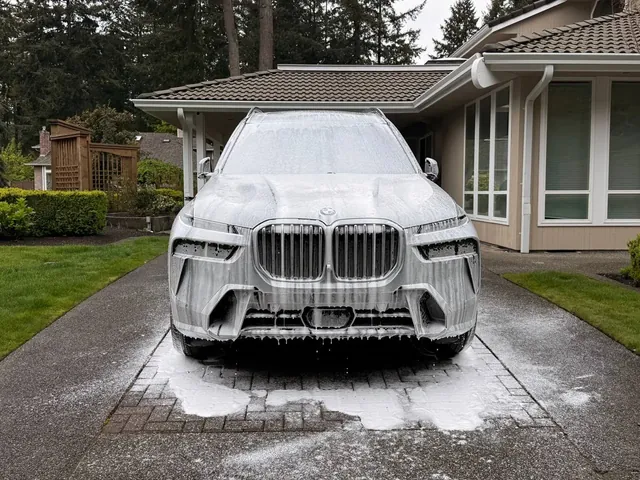 Exterior detailing portfolio photo 3