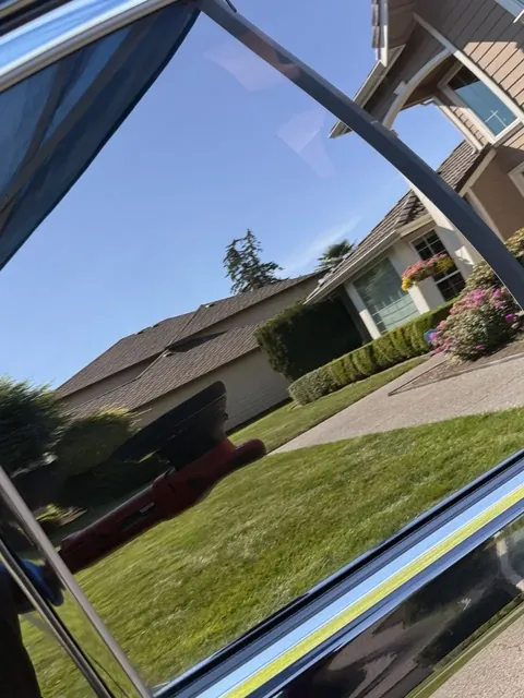 Paint Correction detailing portfolio photo 5