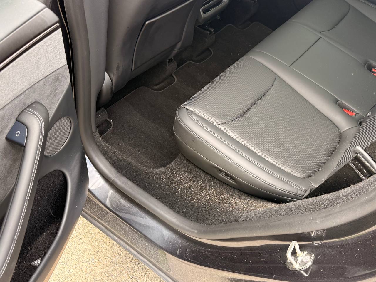 Pet hair in vehicle interior