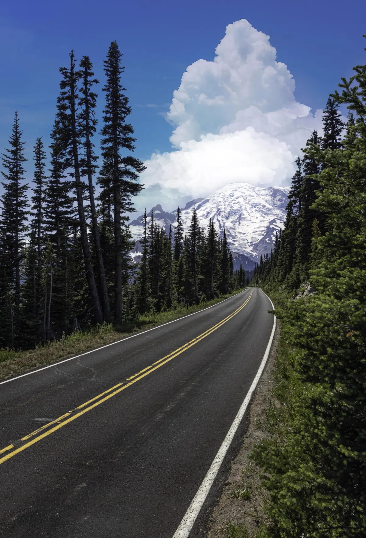 Driving through the South Sound region