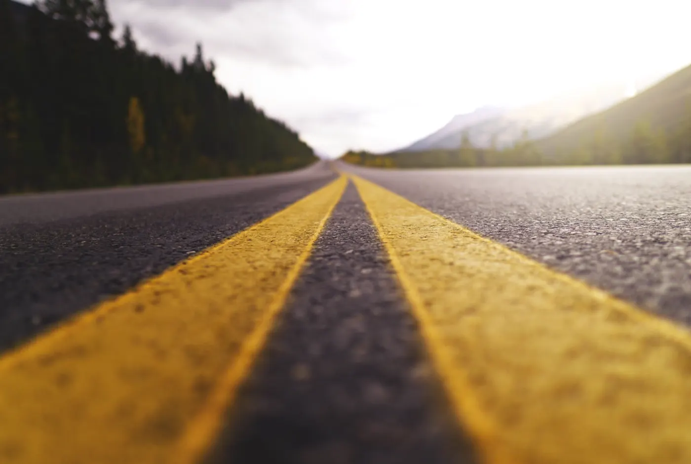Road through the Pacific Northwest
